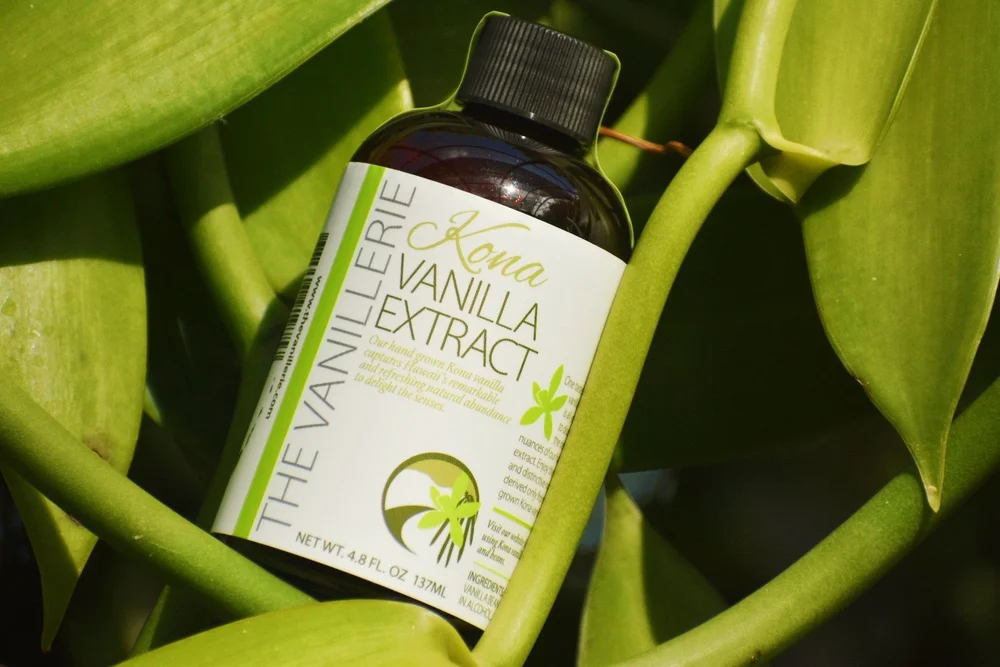 Signature Vanilla Extract — The Vanillerie